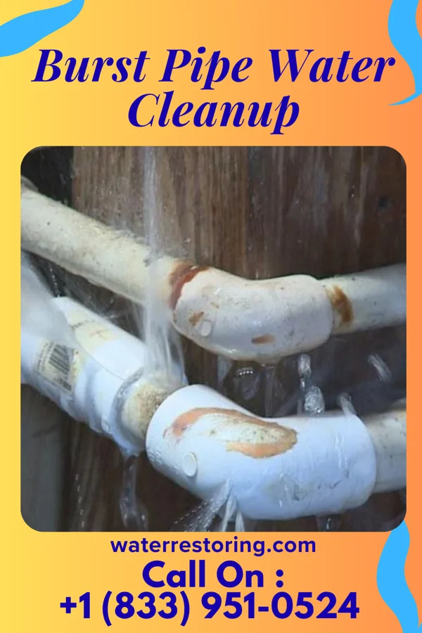 Burst Pipe Water Cleanup in Groves, TX
