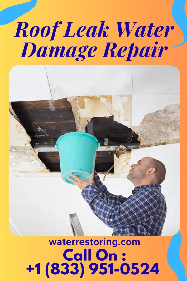 Roof Leak Water Damage Repair in Groves, TX