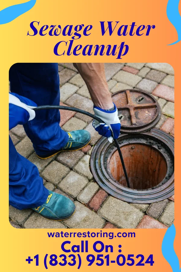 Sewage Water Cleanup in Groves, TX